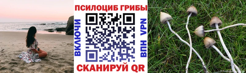 купить закладку  Иланский  darknet какой сайт  Галлюциногенные грибы прущие грибы 