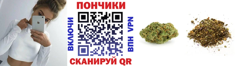 где найти   Иланский  Шишки марихуана тримм 